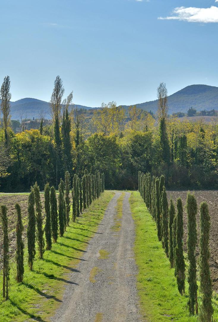 Podere La Querciola Guardistallo Ngoại thất bức ảnh